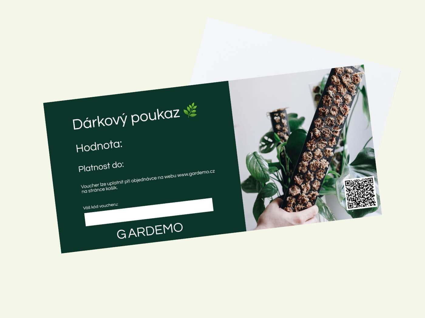 🎁 Gift Voucher 1