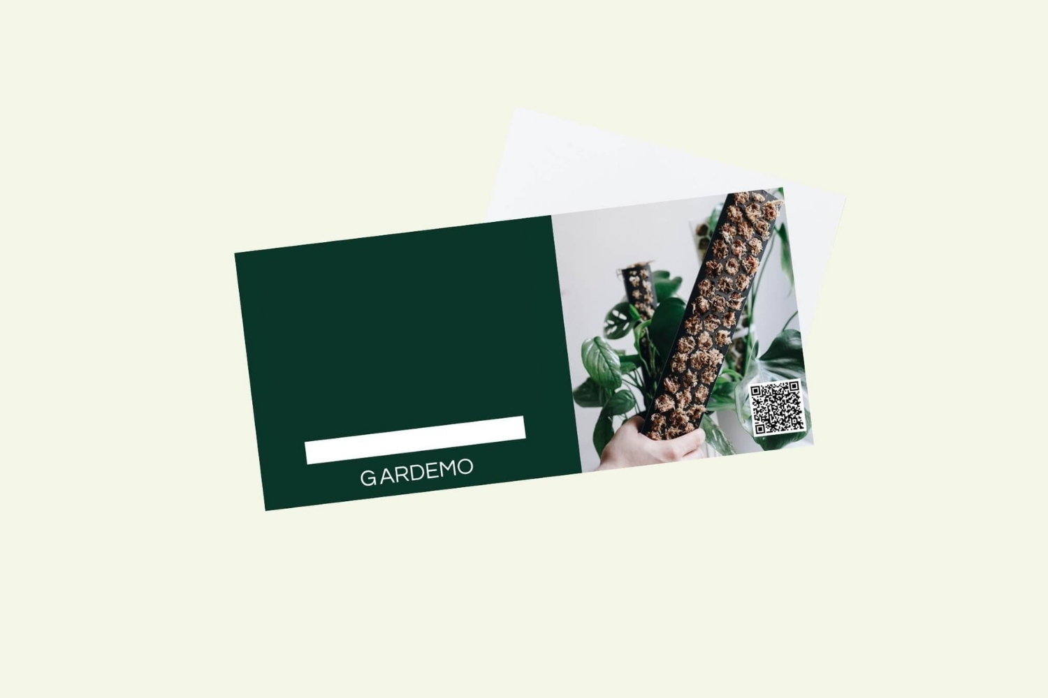 🎁 Gift Voucher 1