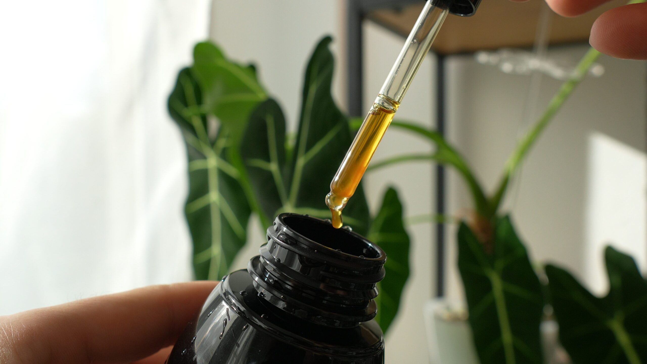 Neem Oil (50 ml) – Natural Insecticide 4