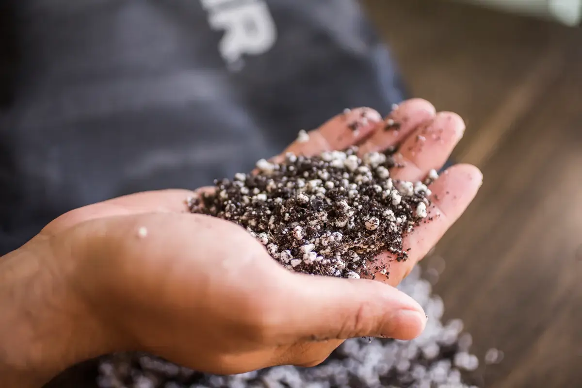 Fine Seed and Propagation Substrate – 8.5 L 2