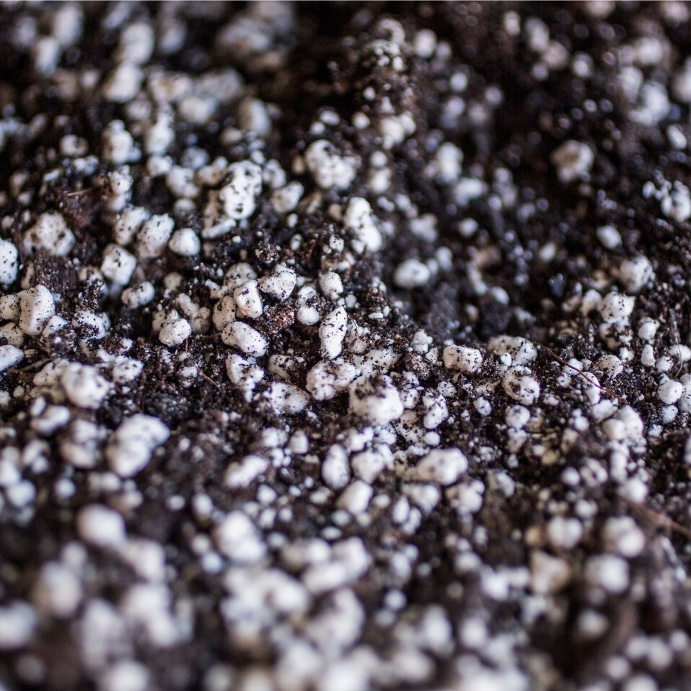 Fine Seed and Propagation Substrate - 8.5 L 3
