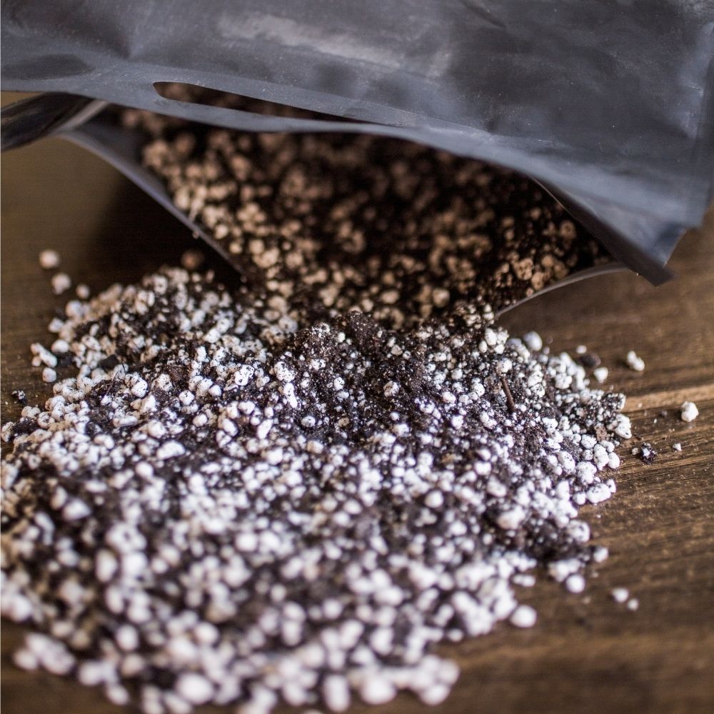 Fine Seed and Propagation Substrate - 8.5 L 4