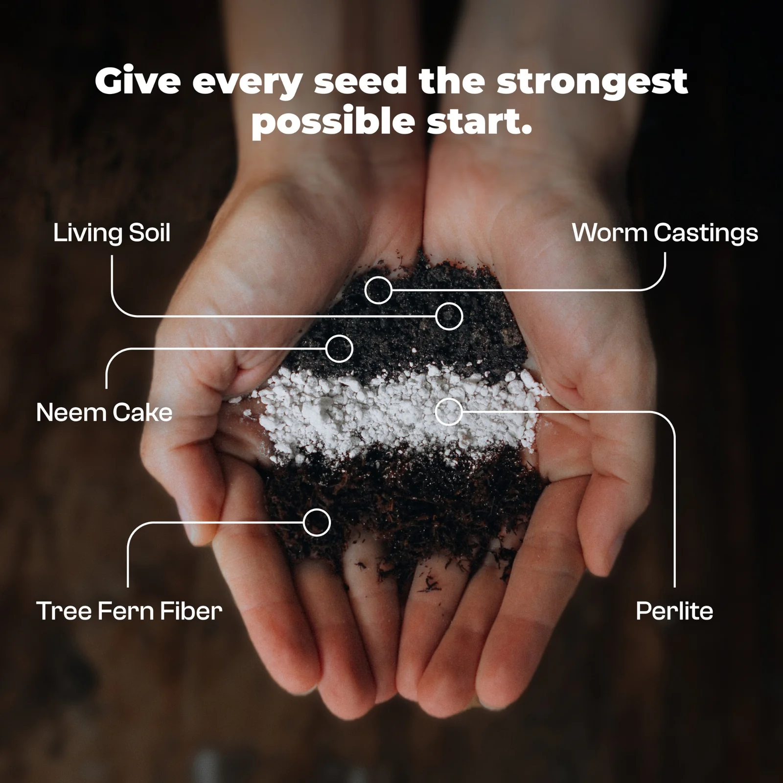 Fine seed and propagation substrate - 8.5 L 4