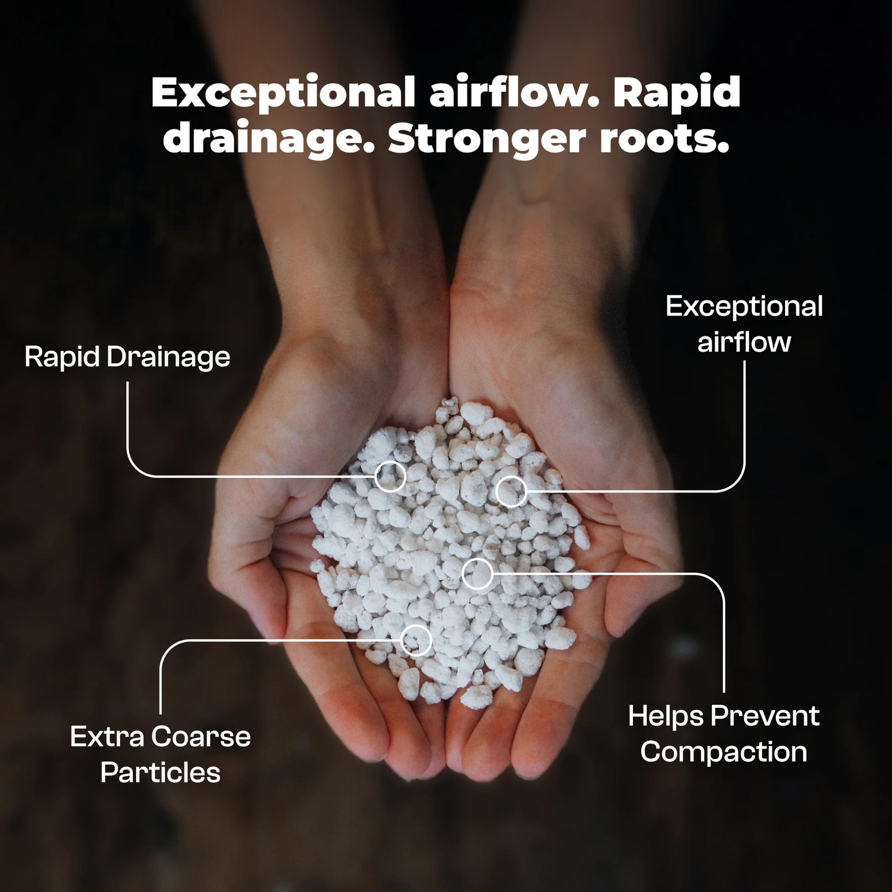 Perlite - 8.5 L 4