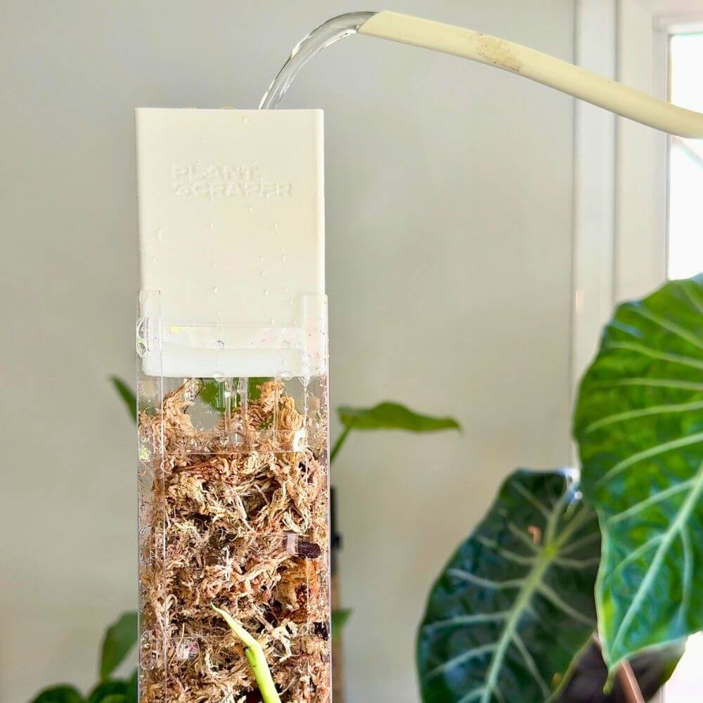 Front Opening Moss Pole Rapid Dripper 2