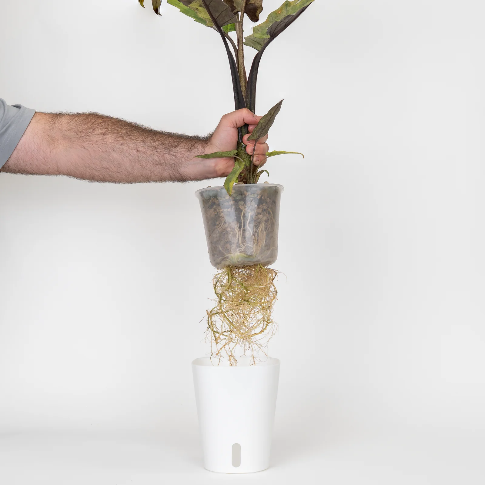 Mineral substrate - 8.5 L 4