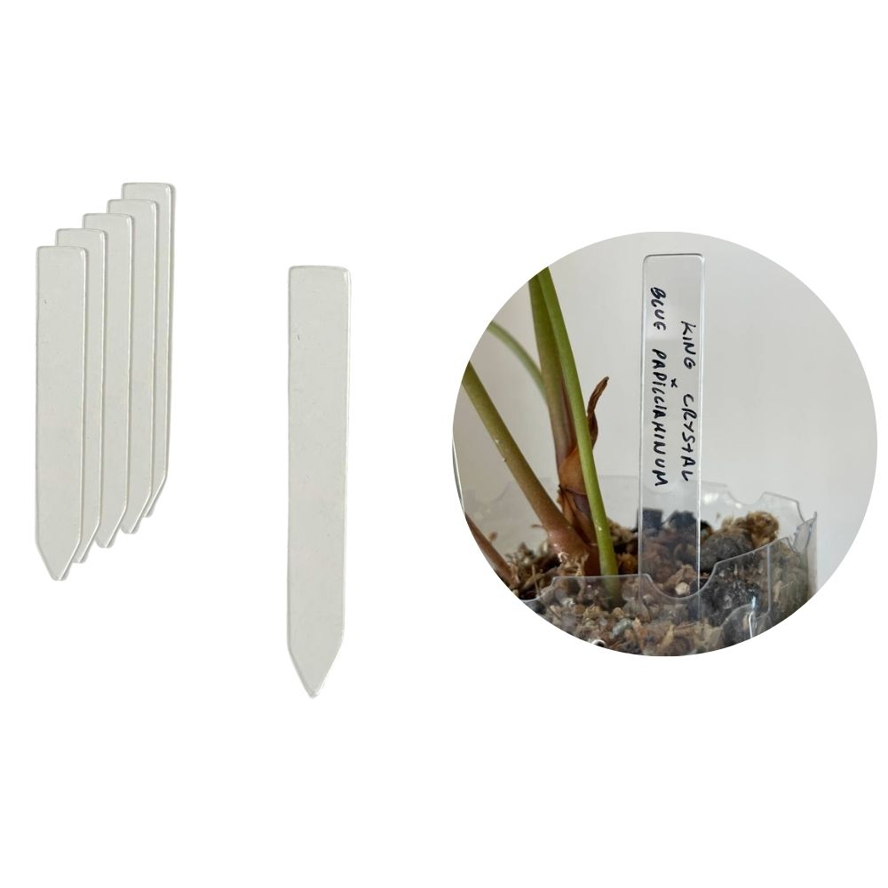Acrylic Plant Identification Tags 3
