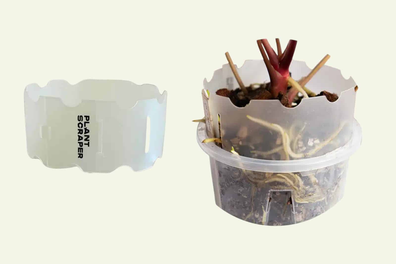 Pot Extension for Anthuriums 1