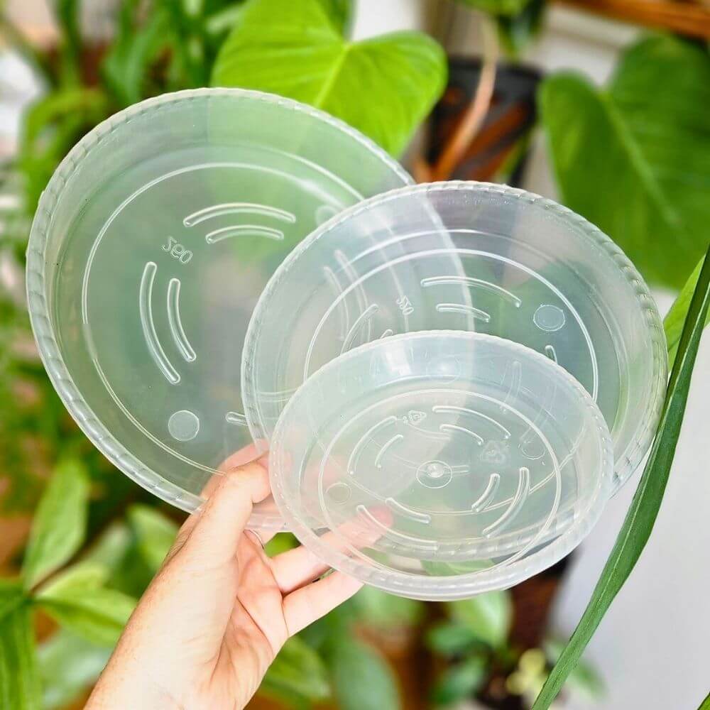 Saucer for Plant Pot 2