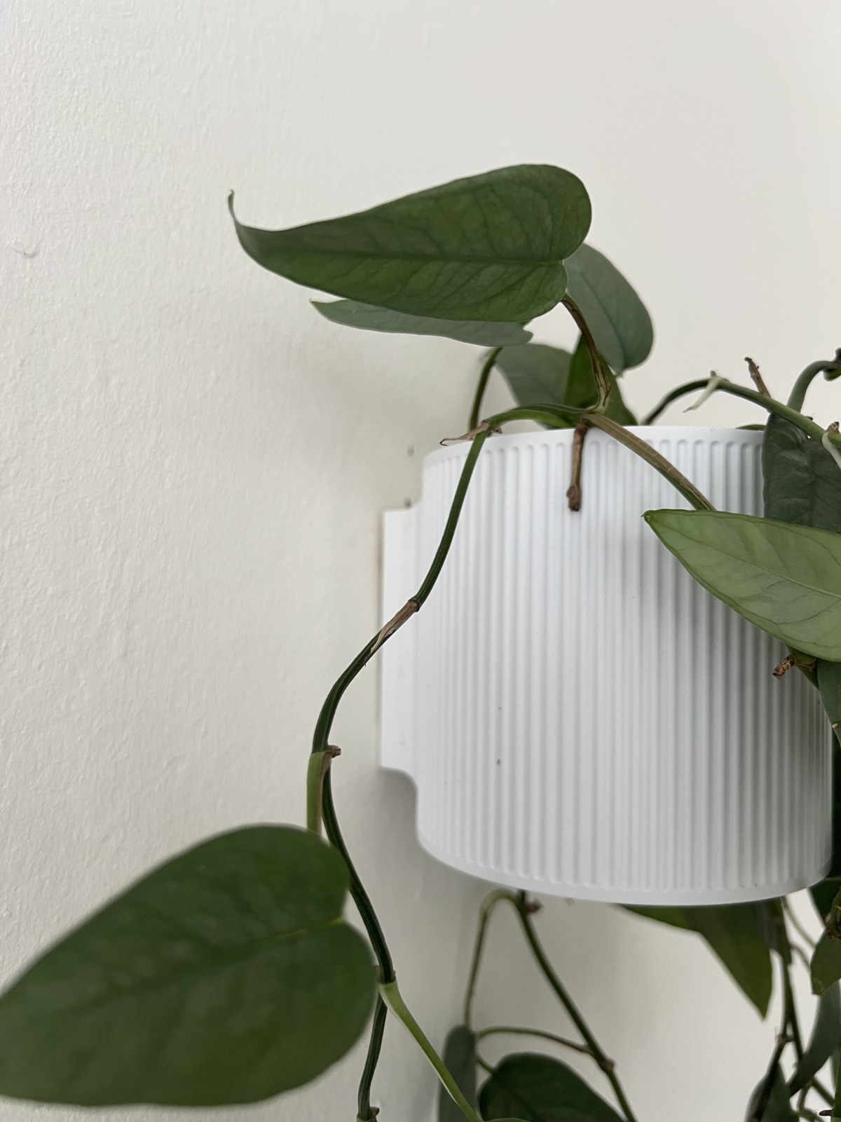 Wall-Mounted Plant Pot Cover 3