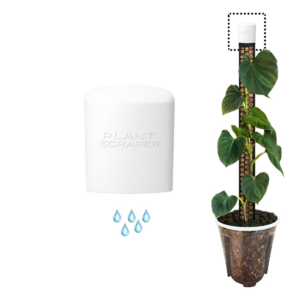 Moss Pole Rapid Dripper 4