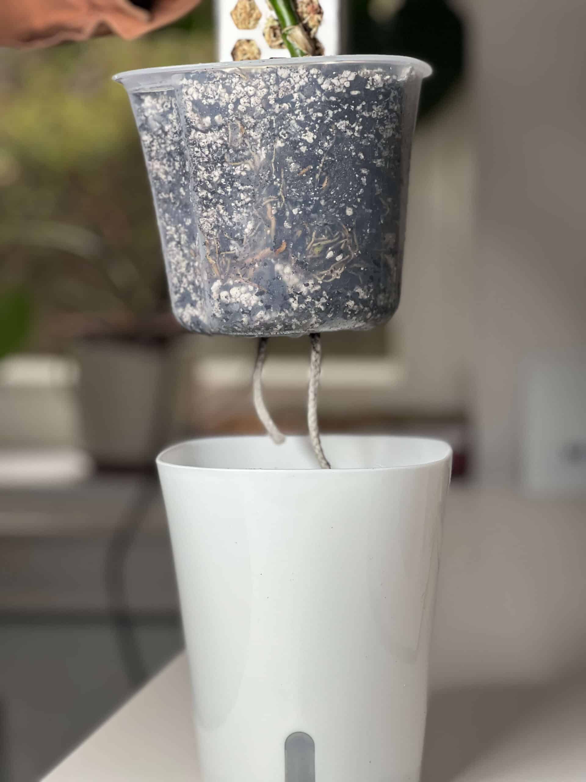 Self-Watering Planter with Transparent Insert 8