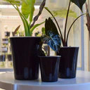 Self-Watering Planter with Transparent Insert 20