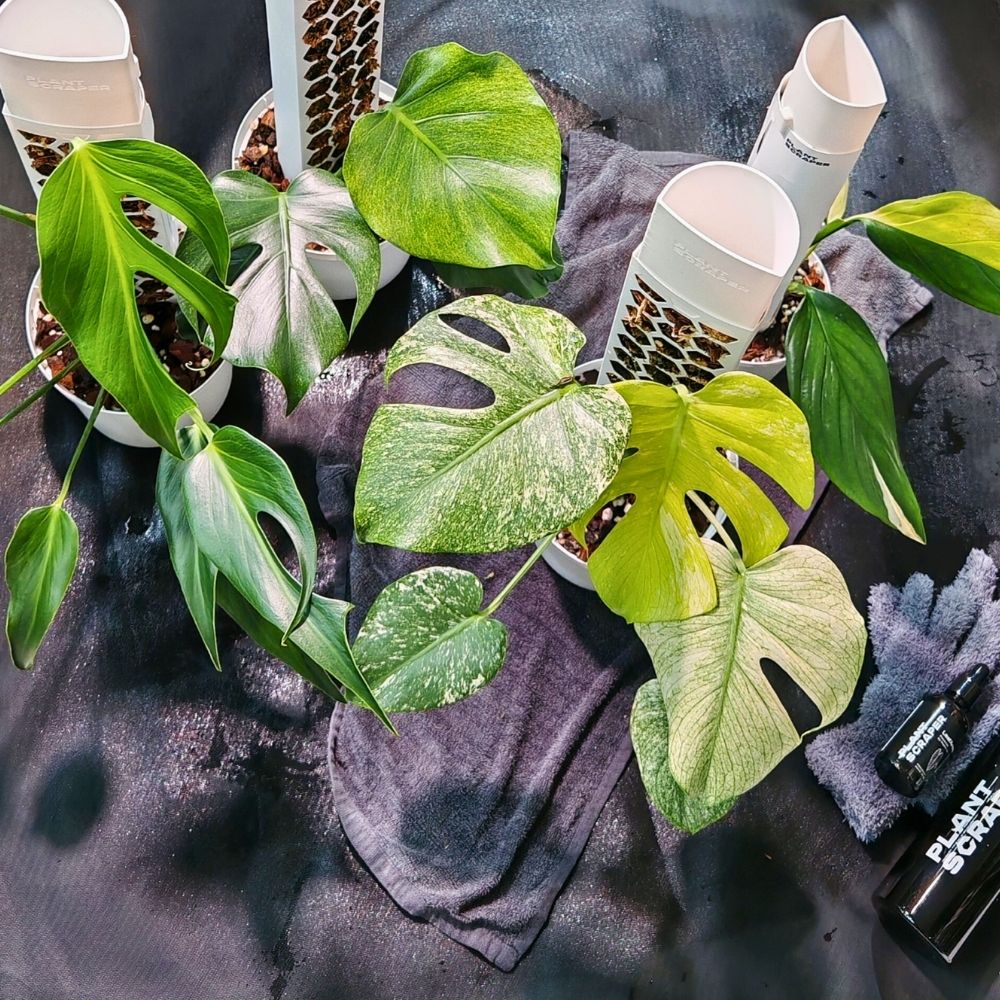 Repotting Mat 5