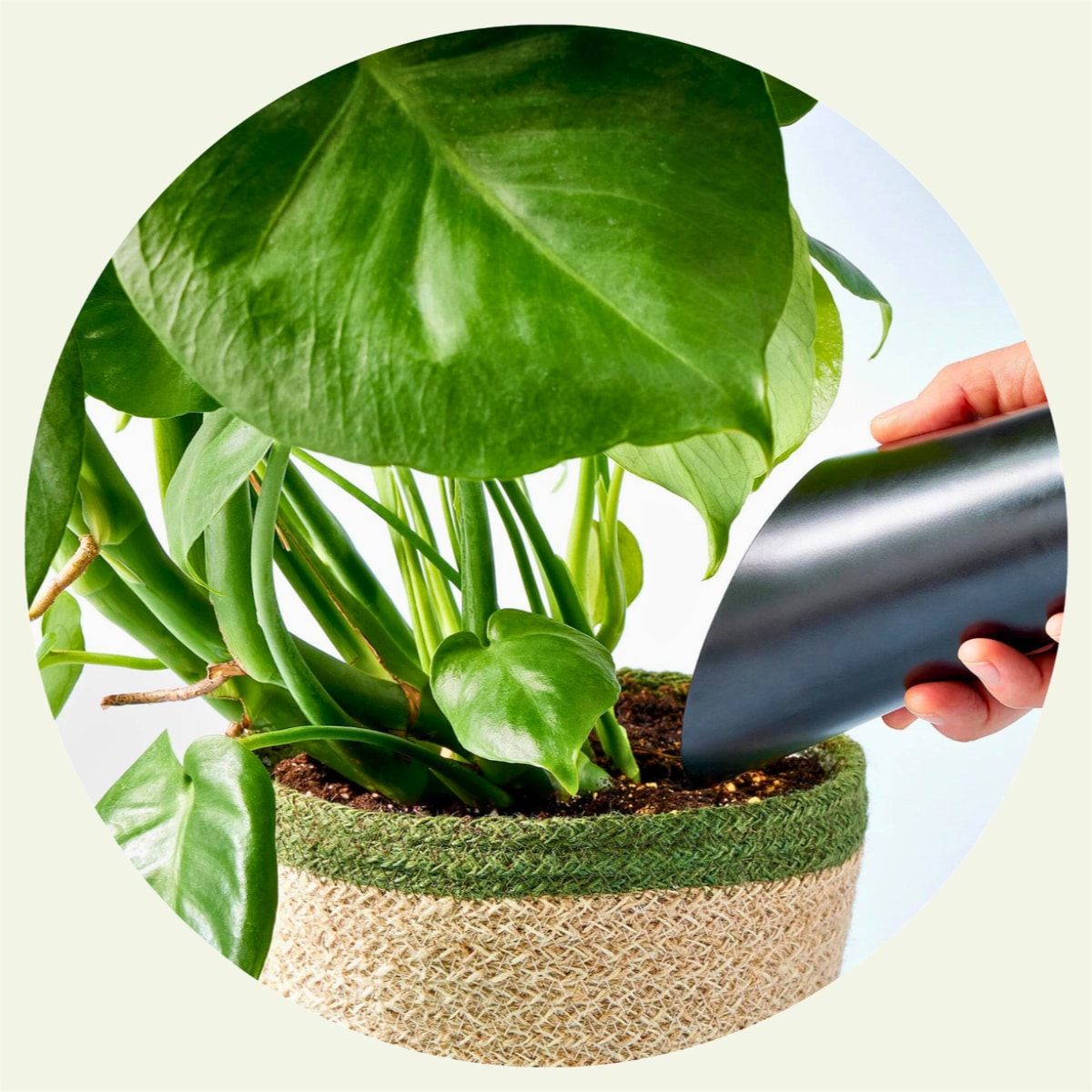 Potting Mix Scoop 2