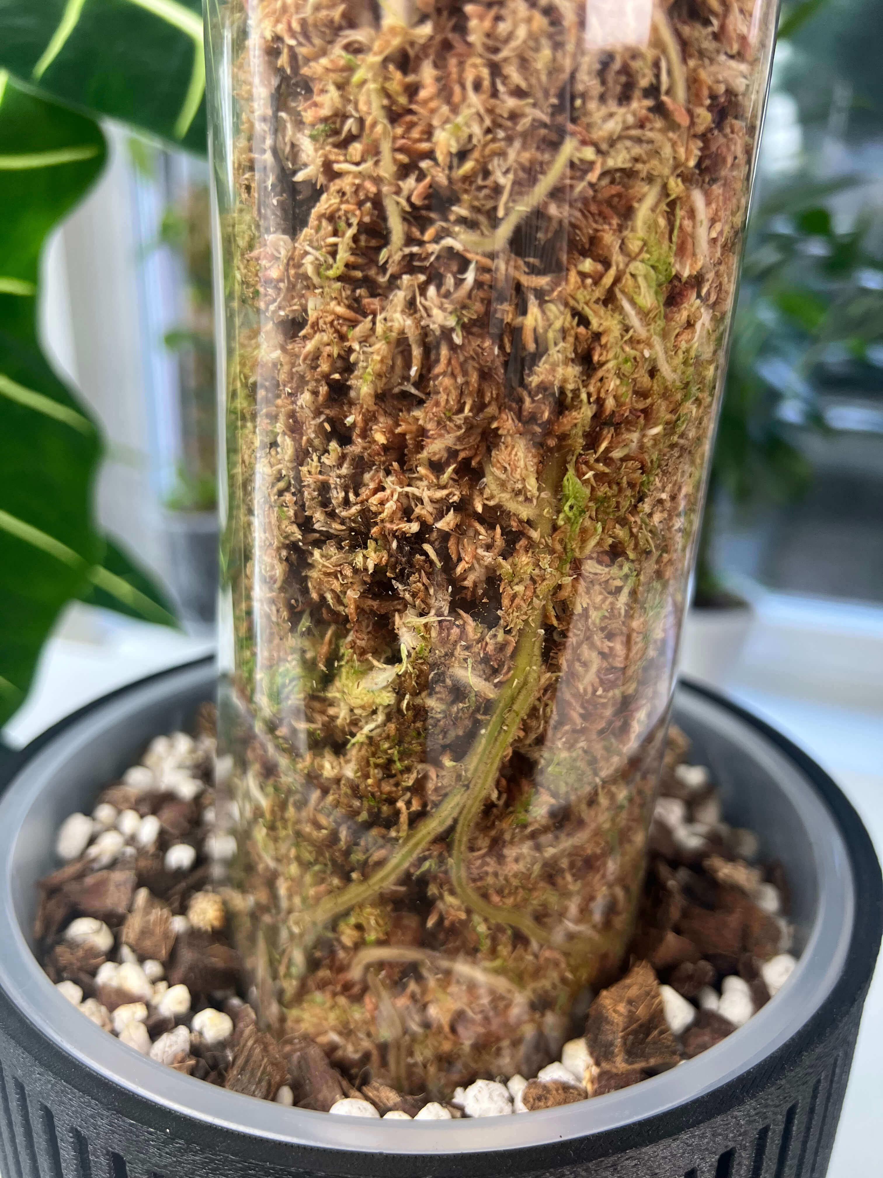 Sphagnum Moss Pole with Front Opening 8