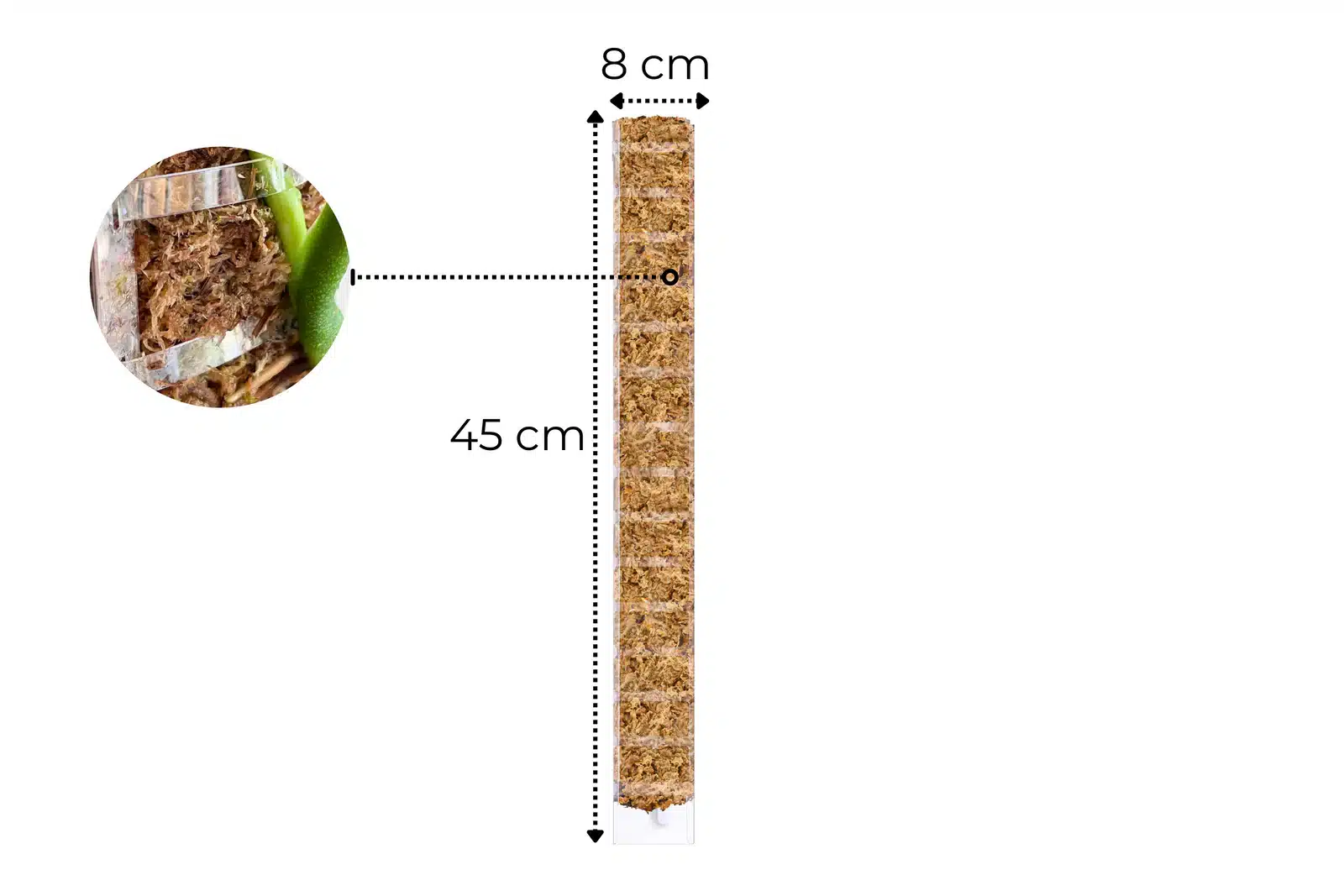 Sphagnum Moss Pole with Front Opening 4