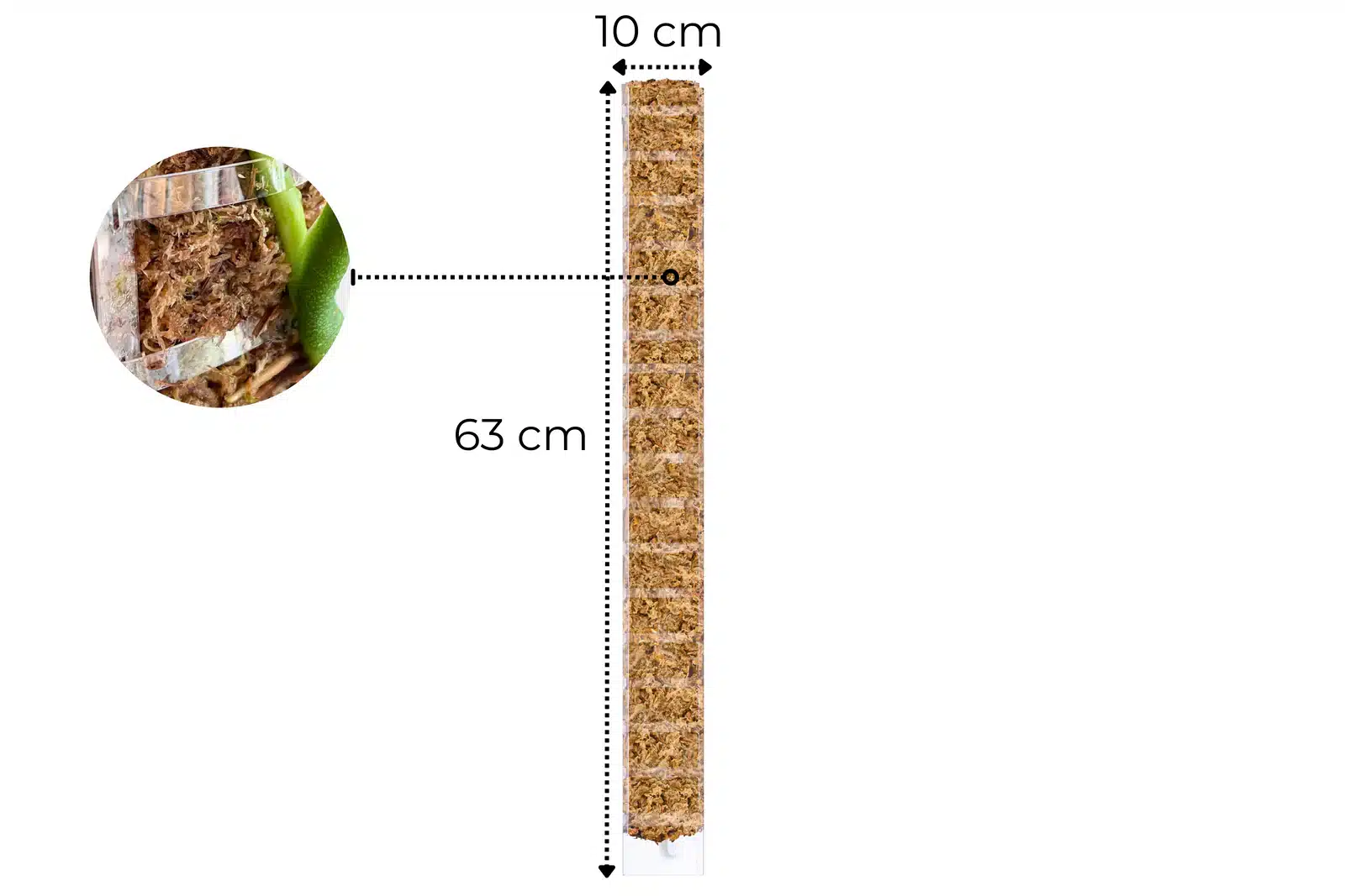 Sphagnum Moss Pole with Front Opening 5