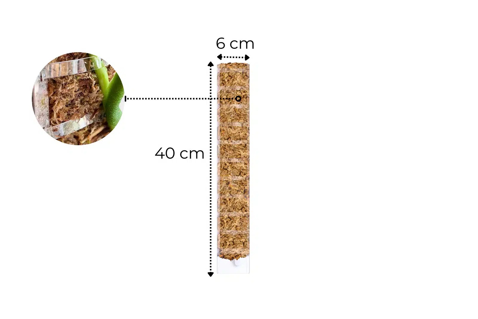 Sphagnum Moss Pole with Front Opening 2
