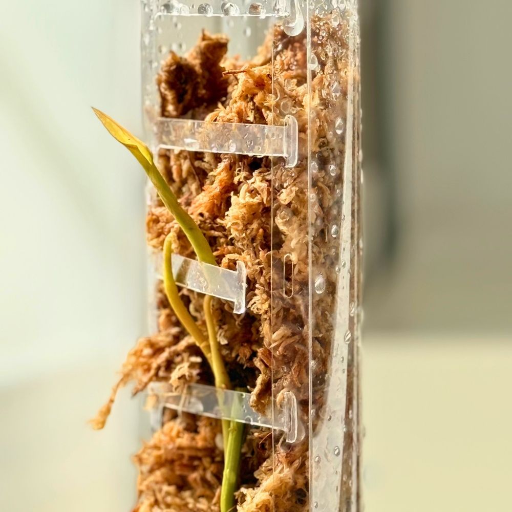Sphagnum Moss Pole with Front Opening 2