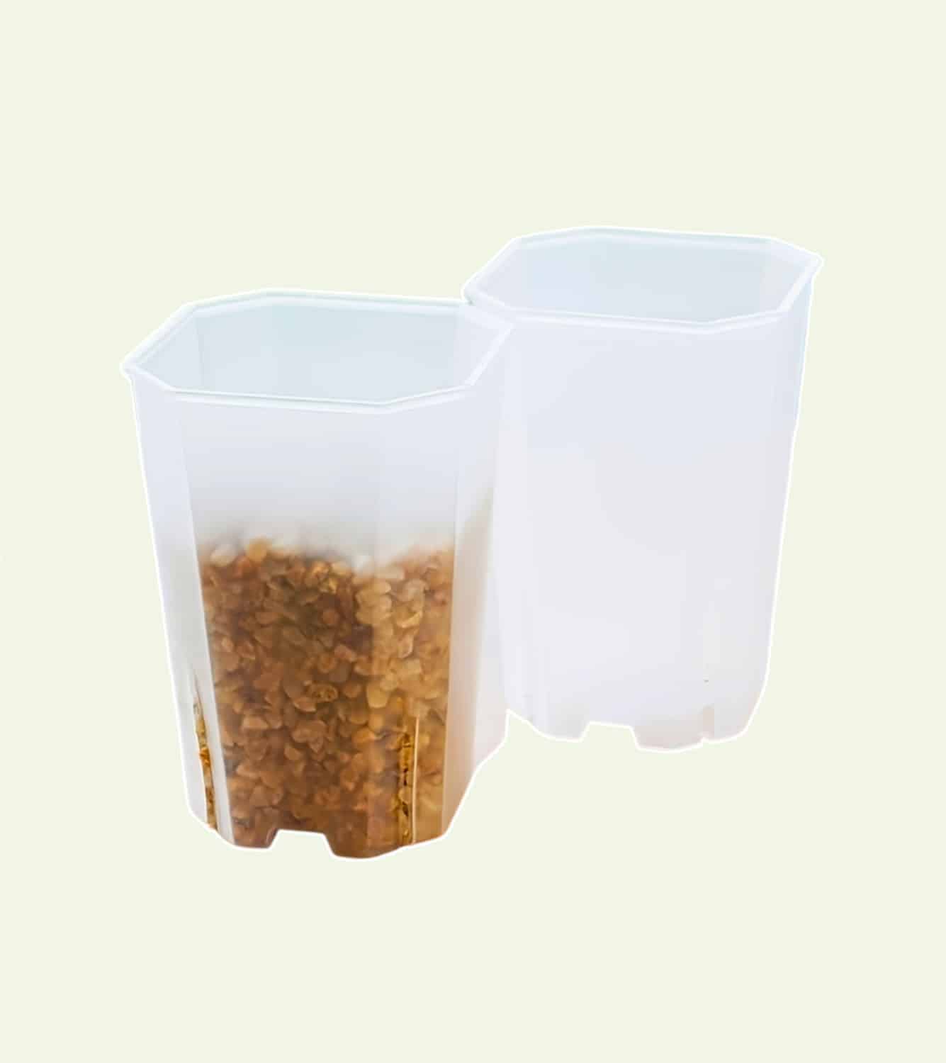 Square Pot for Aroids 1