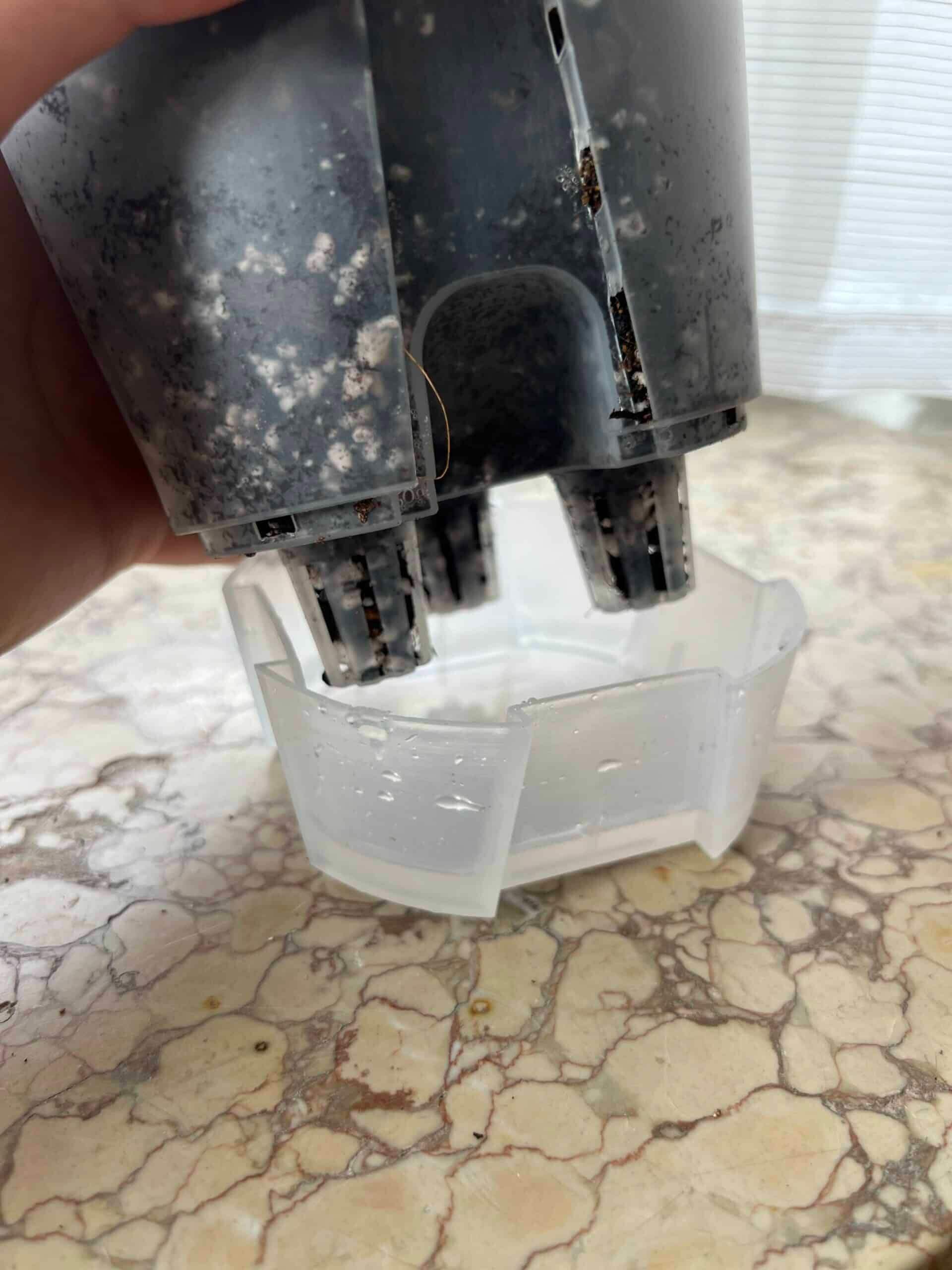 Self-Watering Pot for Aroids 4