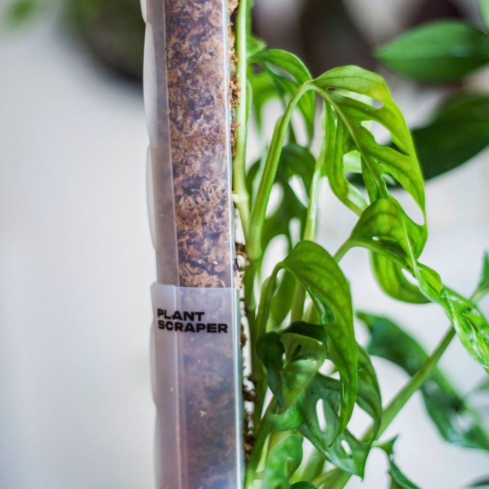 Sphagnum Moss Pole 2