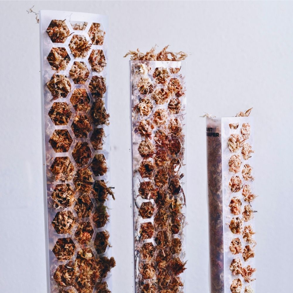 Sphagnum Moss Pole 7