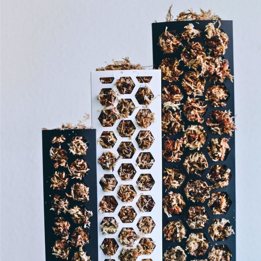Sphagnum moss pole