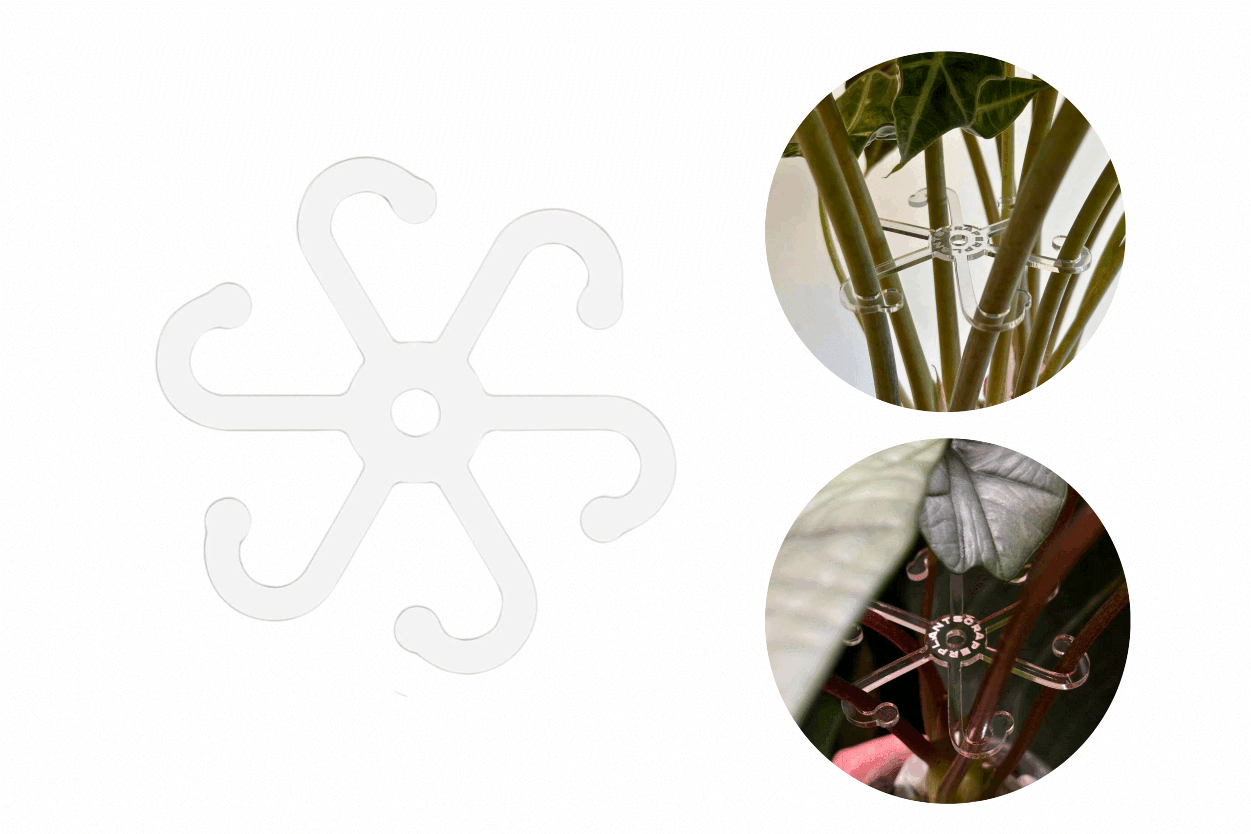 Leaf Support 3