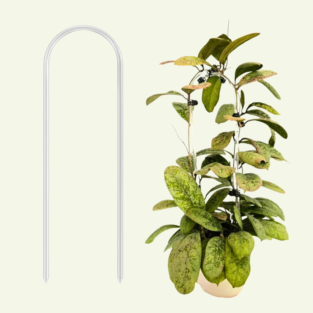 Arch plant support