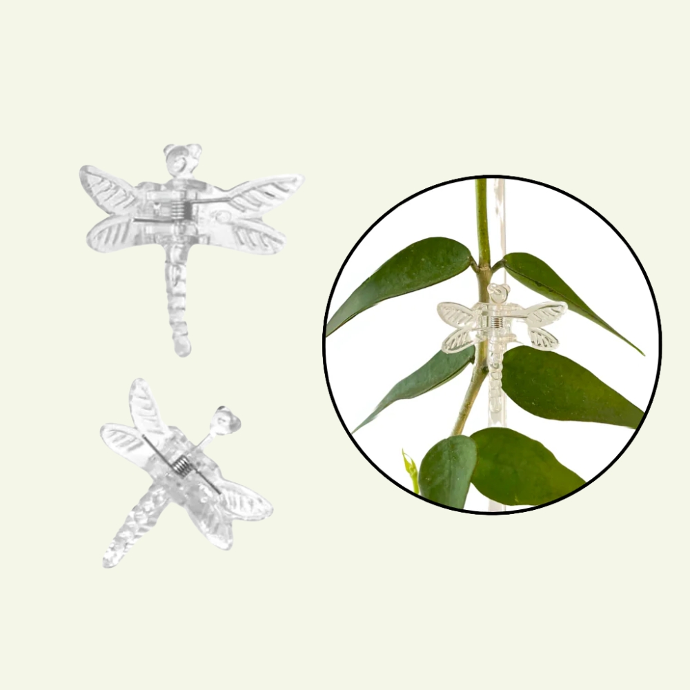 Dragonfly plant clips