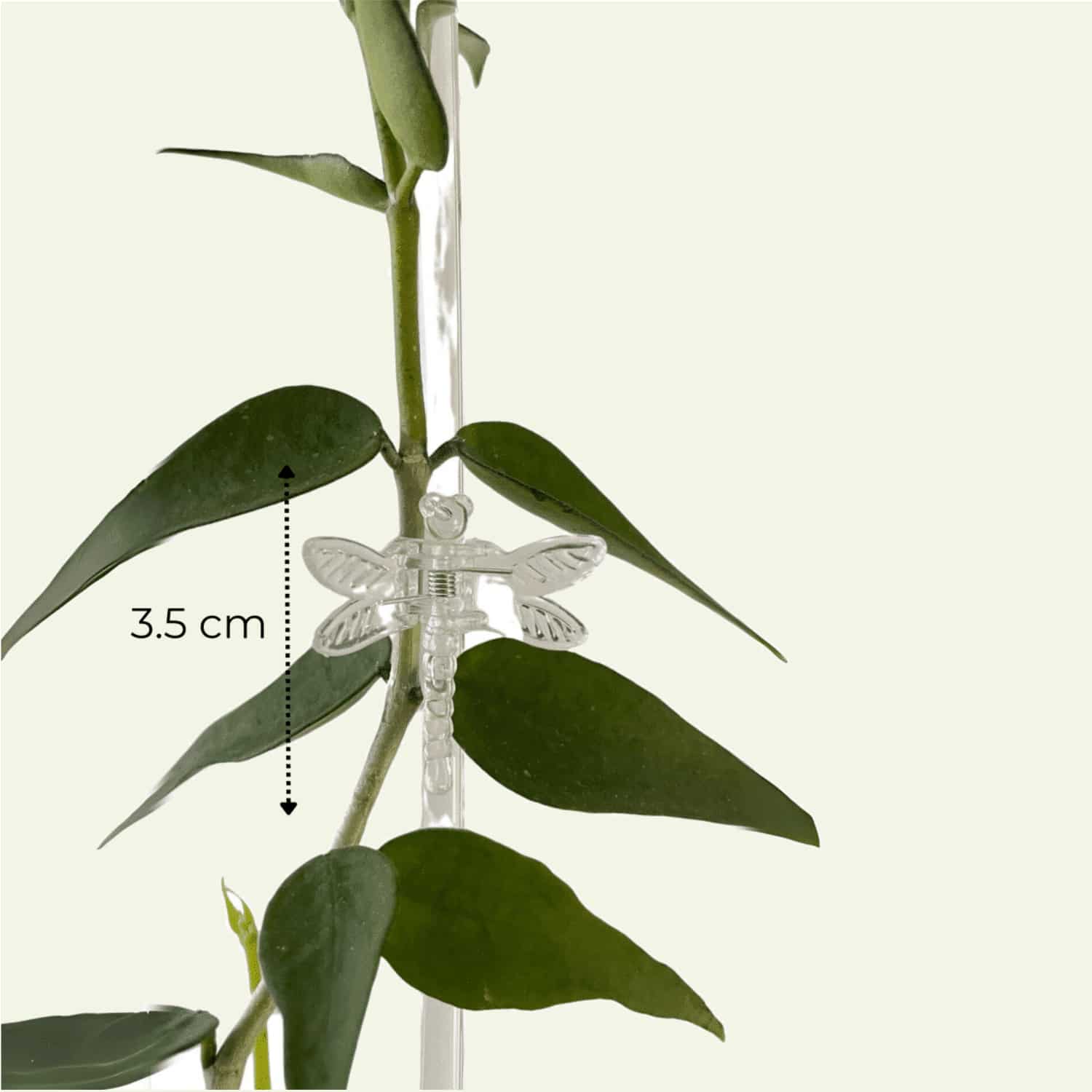 Plant Clips 2