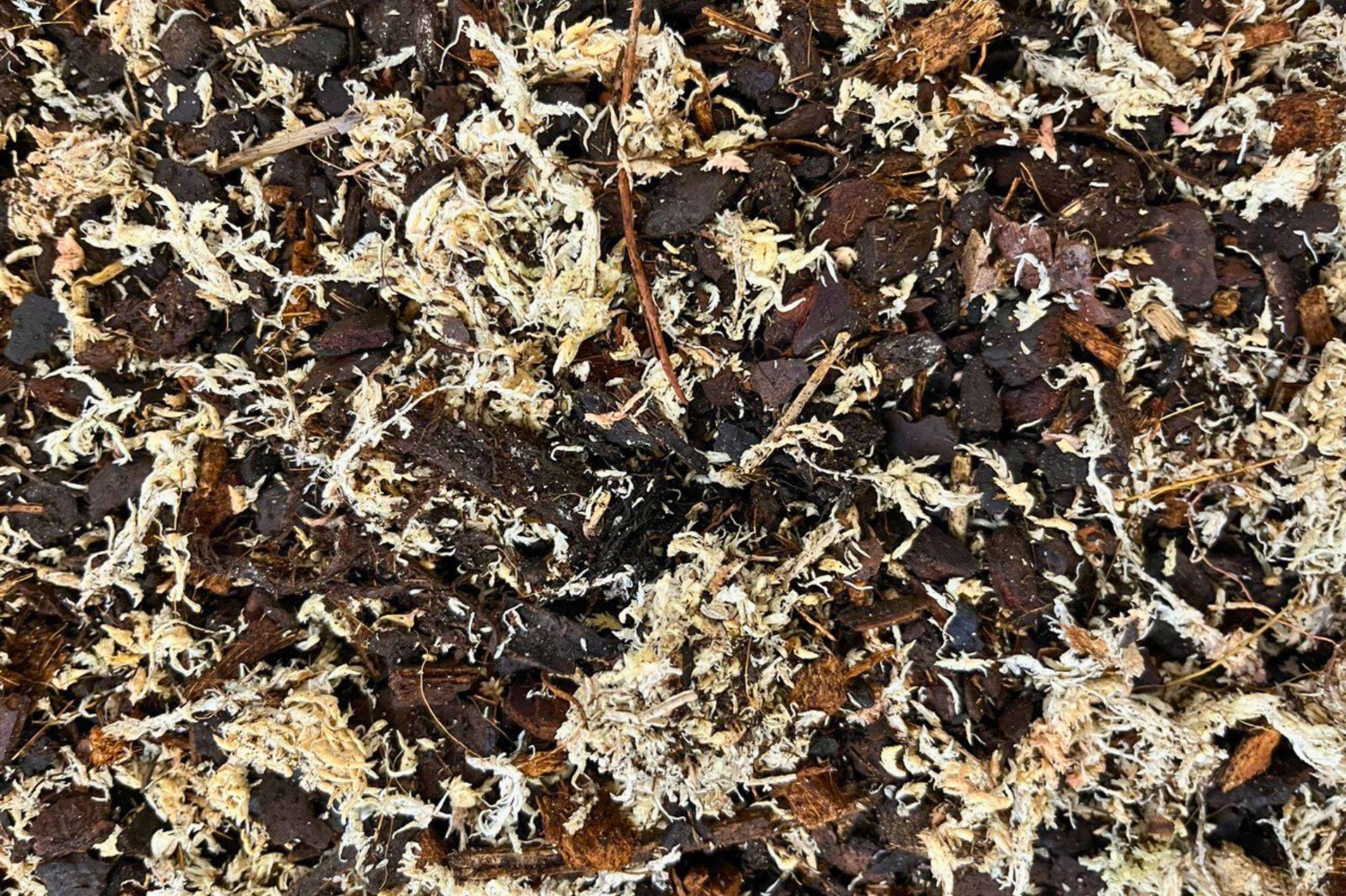 Substrate for Sphagnum Moss Poles 1