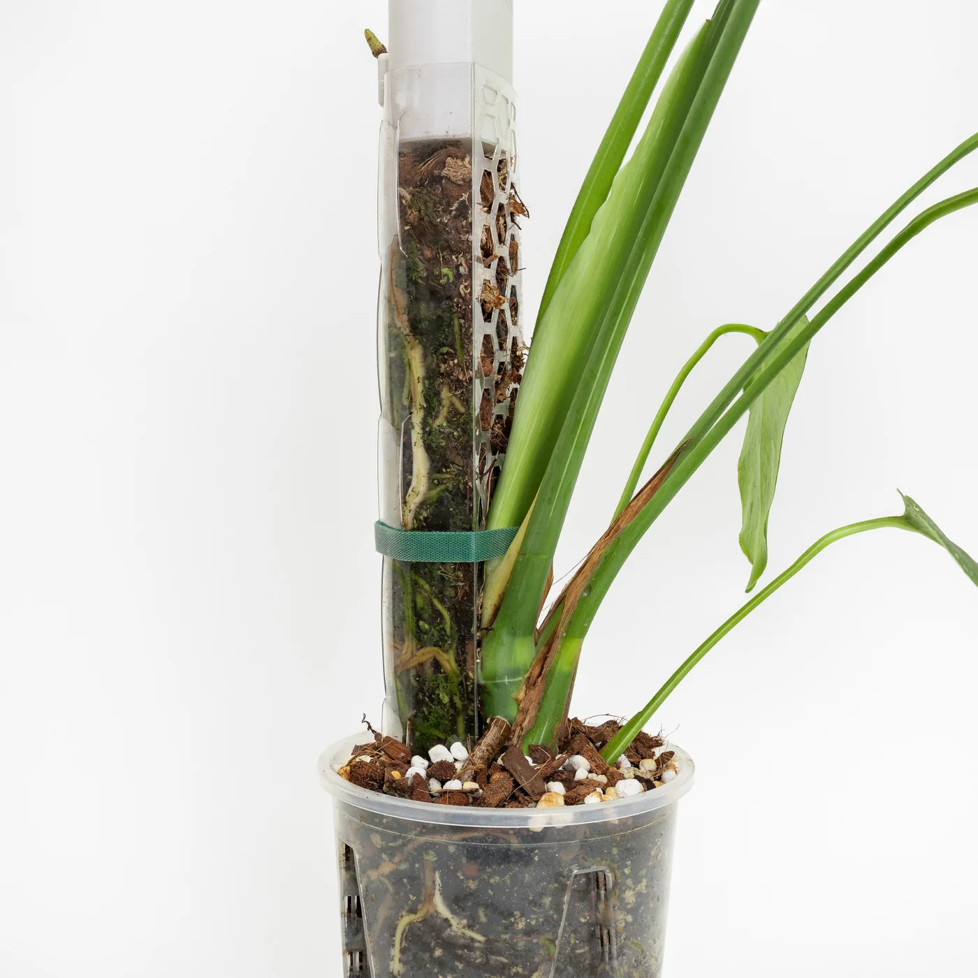 Moss pole filling mix - 8.5 L 4