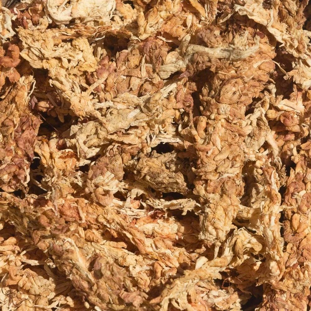 Sphagnum Moss 2