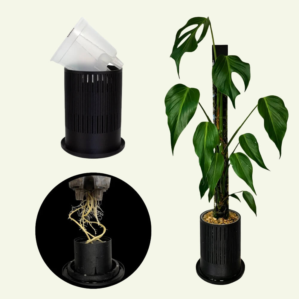 Ventilated covers for self-watering aroid pots