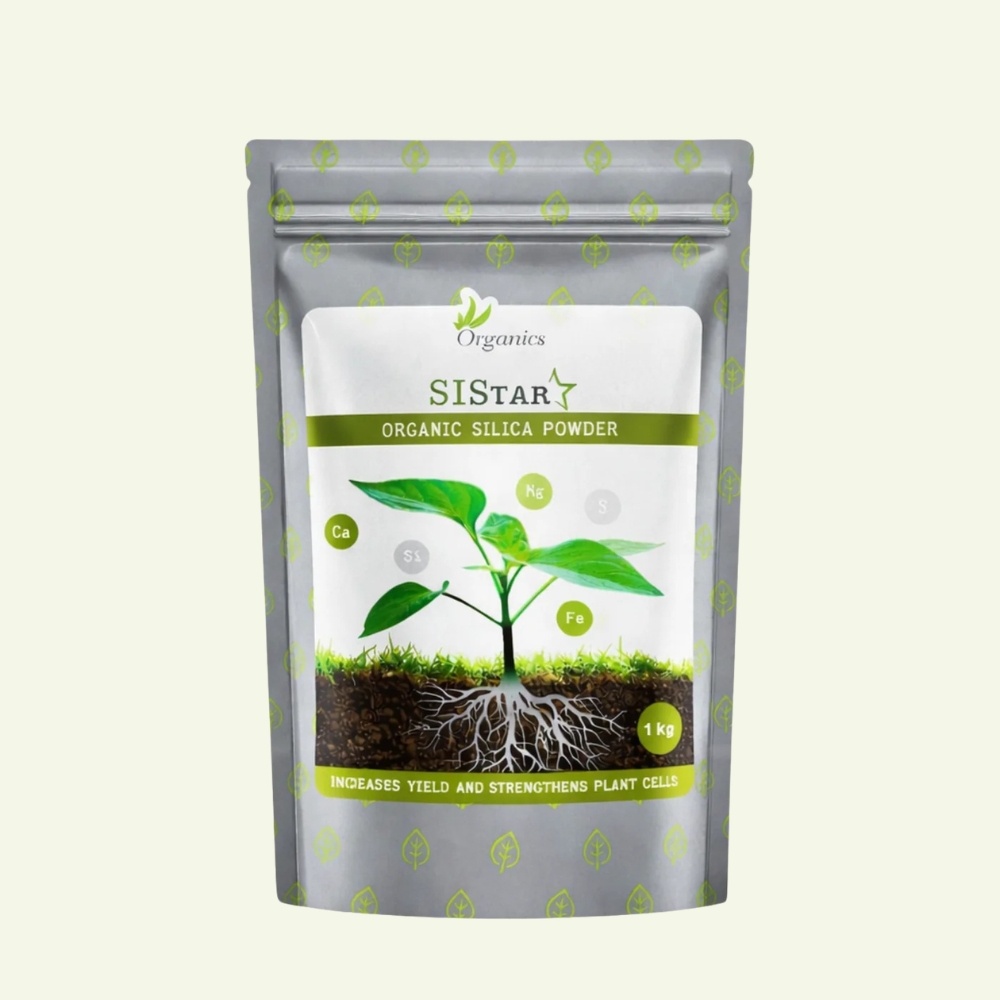 Si Star 500 g - silicon mineral supplement