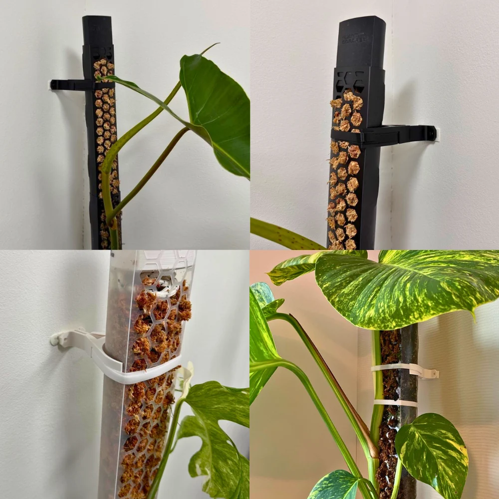 Wall anchor for classic and front-opening moss poles 2