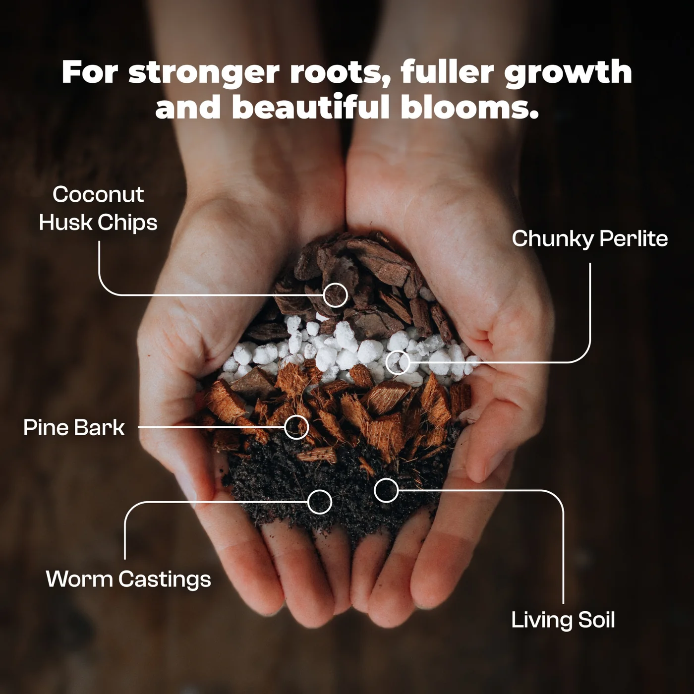 Hoya mix - 8.5 L 4